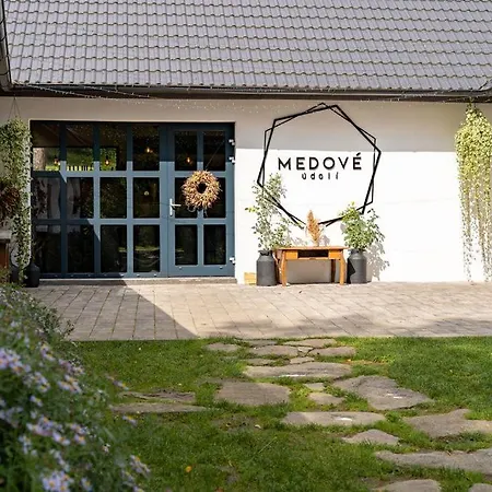 Гостевой дом Medove Udoli